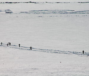 Runners on the snow track