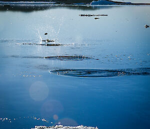 a rock is skimmed across the flat water surface at Casey wharf