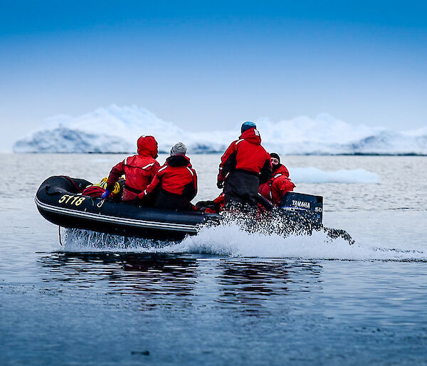 Expeditioners on boats to check out icebergs
