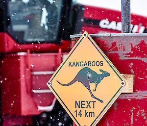 Kangaroo sign on road to runway