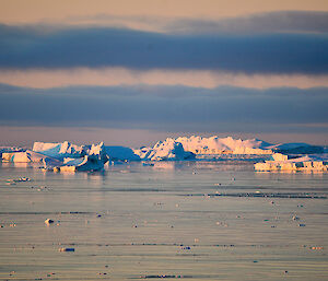 Sunlit icebergs floating in harbour, the water, bergs and sky creating stacked layers of icy colours