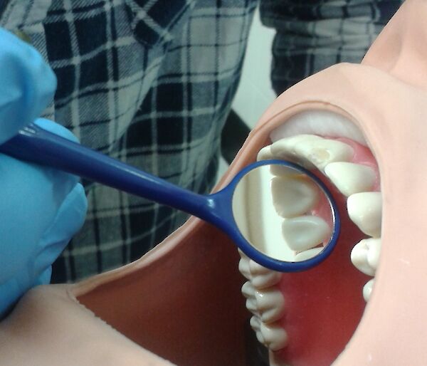 Expeditioner practicing dentistry on a training dummy