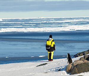 Expeditioner being watched by penguin