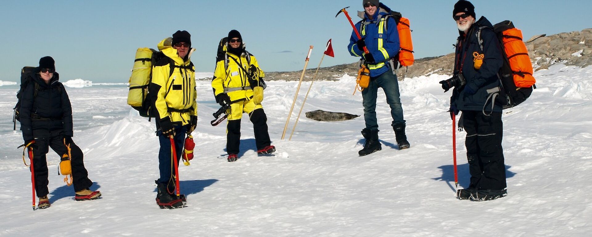 Expeditions cross sea ice, watched on by seal