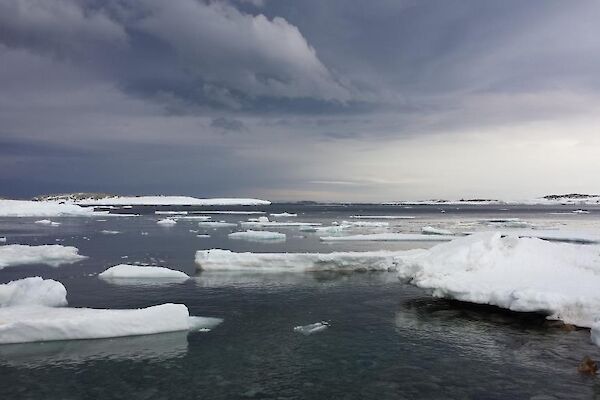 View from wharf hut which looks over the sea ice and water — beautiful