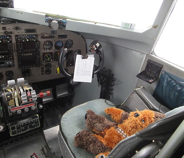 Walter (stuffed soft toy) sitting in the pilot’s seat of a Ken Borek Air Basler aircraft.