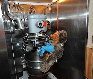 Walter (stuffed soft toy) wearing a pair of blue rubber kitchen gloves attached to the large Hobart electric mixer.