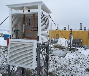 A laminated cut out of the Flat Stanley character standing inside the shelter where the meteorological equipment is housed.