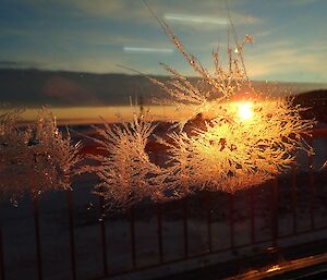 The sun shining through ice crystals formed on the window as it raises early morning.