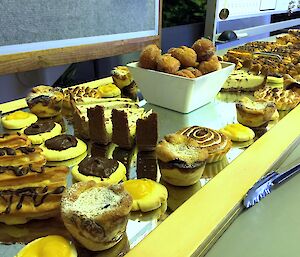 A desert tray showing the result of an afternoon cooking. Showing some Portuguese tarts, Yo-Yo biscuits, lemon meringue pies, chocolate éclairs, donuts and cheese cake.