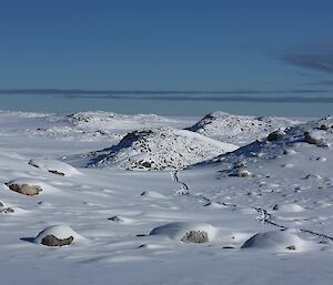 Scenery of the Clark Peninsula, looking back over the path taken to get to the third and furthest camera.