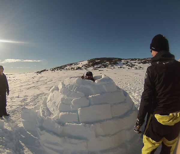 An ice block igloo with person pocking their head through the top