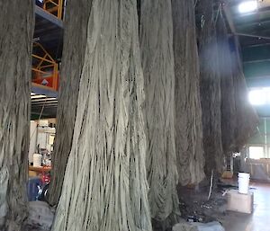 Parachutes hang in the Casey store in order to dry