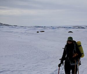 Jordan in front of seals at Shirley Island