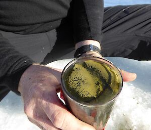A sample of sediment core taken from a frozen lake