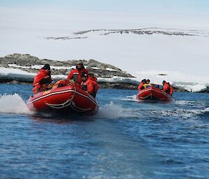 Expeditioners cruise in the water off Casey Station