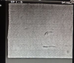 An X-ray picture of a bentonite mat reveals dry and moist areas