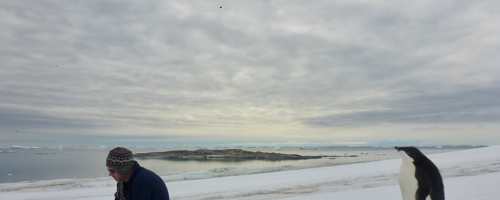 A penguin gets close to expeditioners