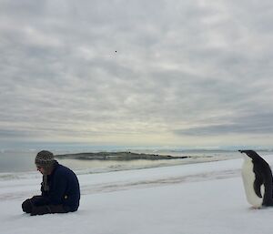 A penguin gets close to expeditioners