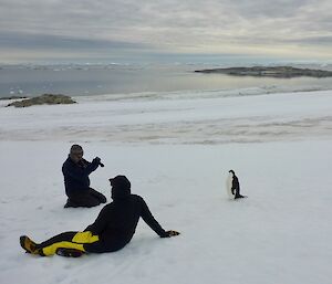 A penguin gets close to expeditioners