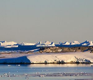 A view of Ice bergs near Casey station