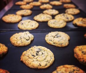 Cookies made in the Casey kitchen