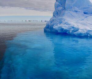 An iceberg near Casey Station