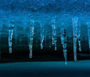 Icicles under an iceberg