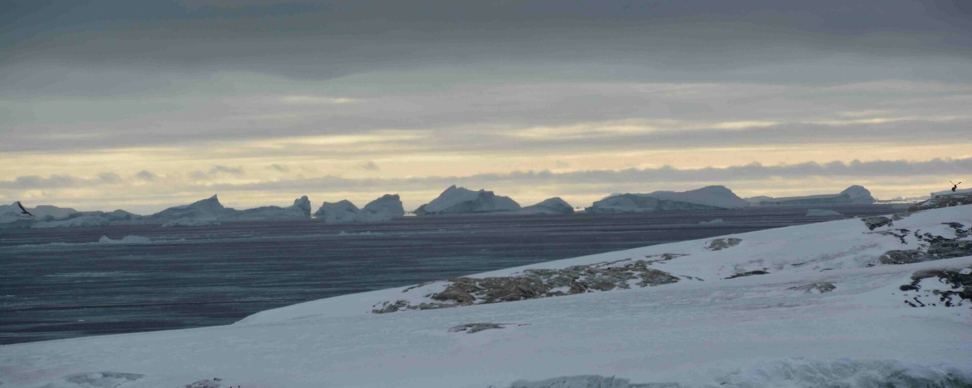 View over sea to ice bergs
