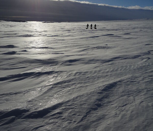 Three people walking on snow towing sleds