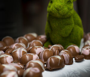 Green rabbit surrounded by chocolate eggs
