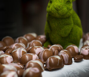 Green rabbit surrounded by chocolate eggs