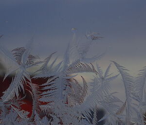 Ice crystals on the window