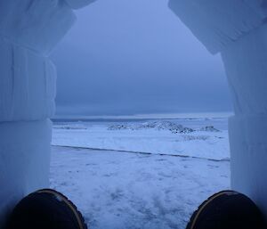 View out of igloo