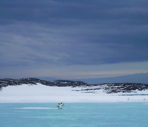 Penguins walking acorss blue sea ice with dark stormy sky in background