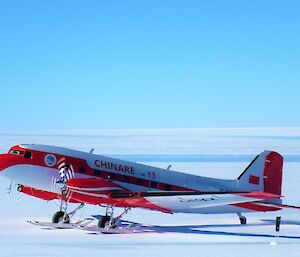 White and red Chinare Bassler on snow runway