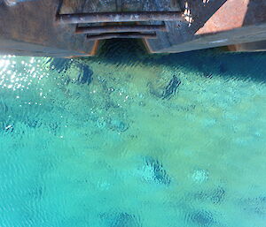 Water at the wharf