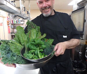 Chef holding fresh produce from hydroponics