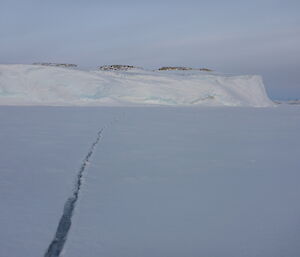 Tide crack on sea ice with cliff in background.