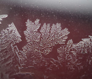 More crystal delights in the double glazed windows of the Red Shed