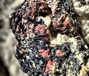 Garnet crystals in rock.