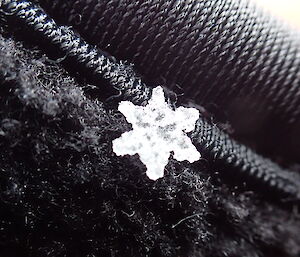 A perfect looking snowflake with six pointy ends.