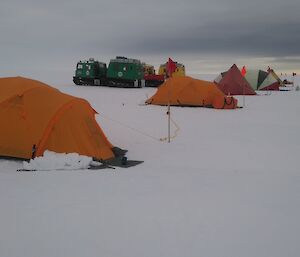 Tents that have been set up and a Hägg in the snow