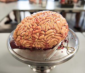 cake that looks like a brain