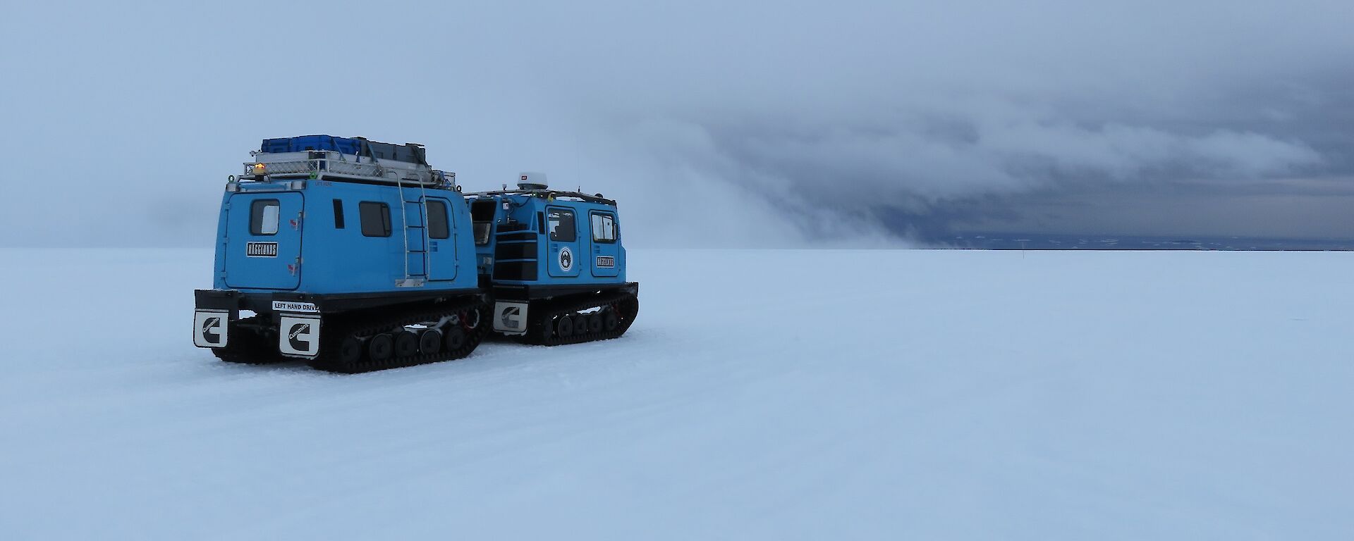 Blue Hägg and clouds in background.