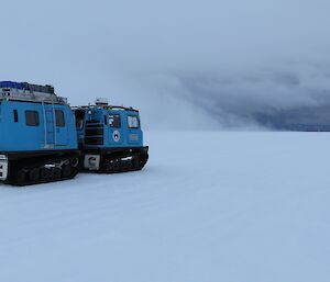 Blue Hägg and clouds in background.