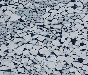 Lots of bits of sea ice almost looking like a jigsaw.