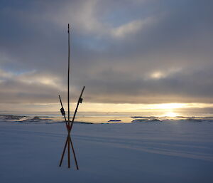 Cane line marker with the sun setting in the background.