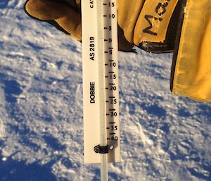 A man holding a large thermometer out on the snow.