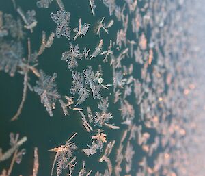 Ice flowers on the Casey utility building.